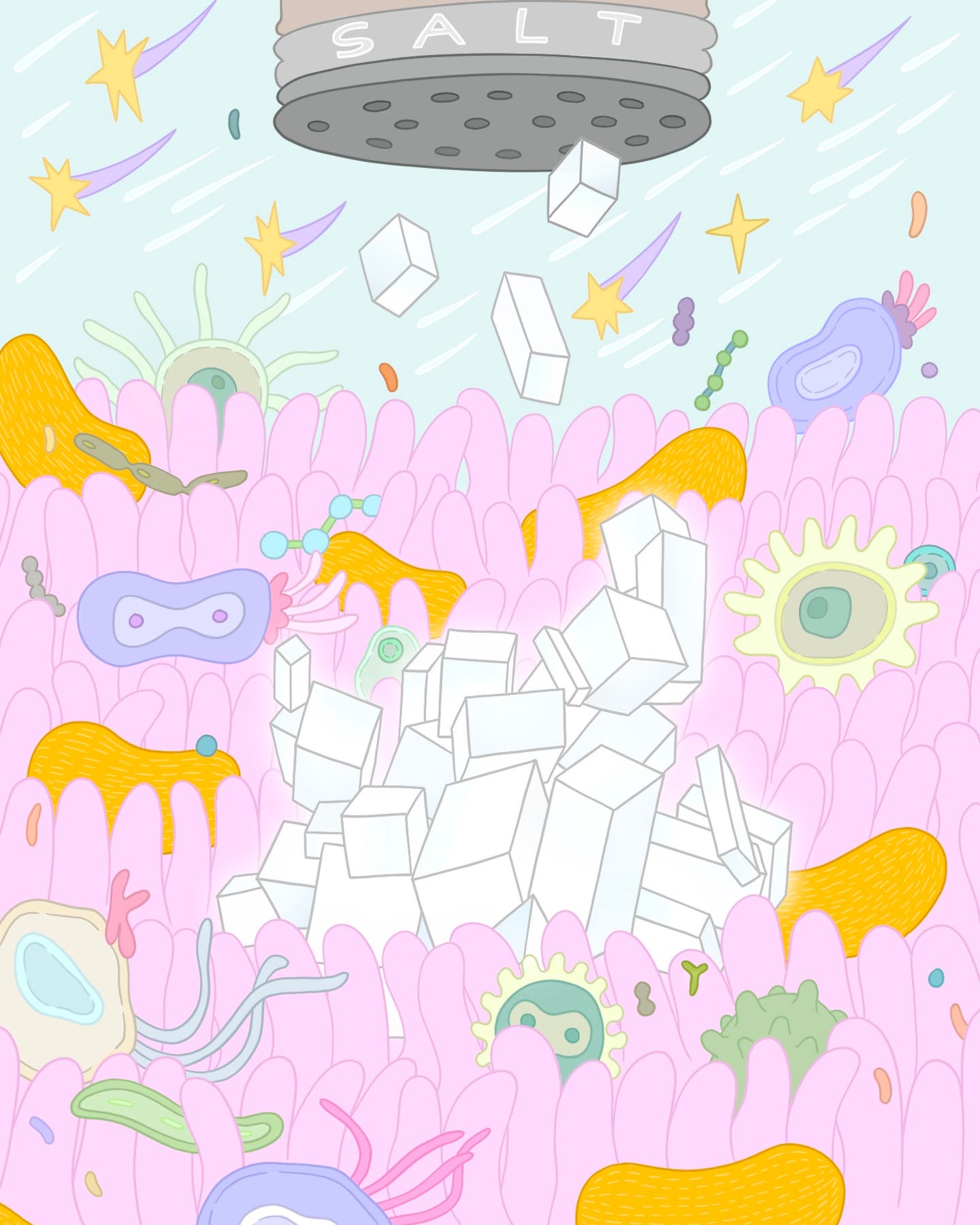 Gut check salt illo
