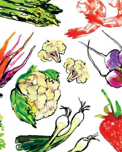 Watercolor illustration of assorted foods, including asparagus, a shrimp, pea pods, radishes, a cauliflower, scallions, herbs, a strawberry, and a small loaf of bread.