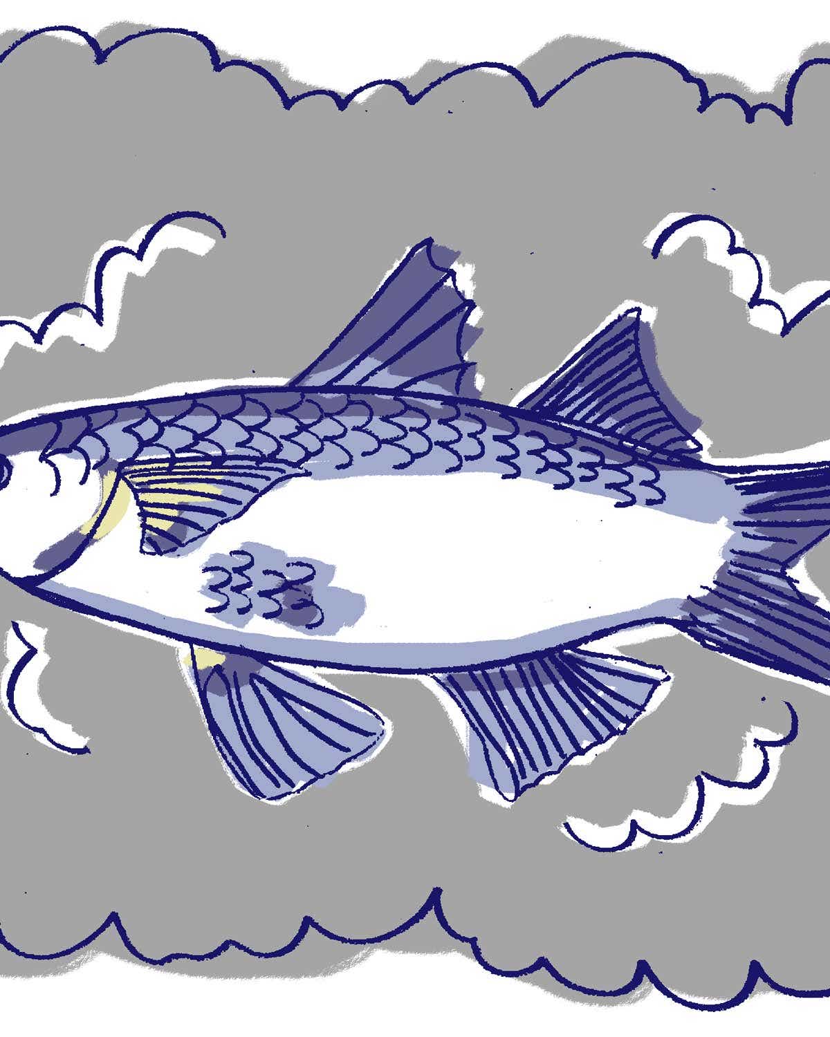 smoked mullet