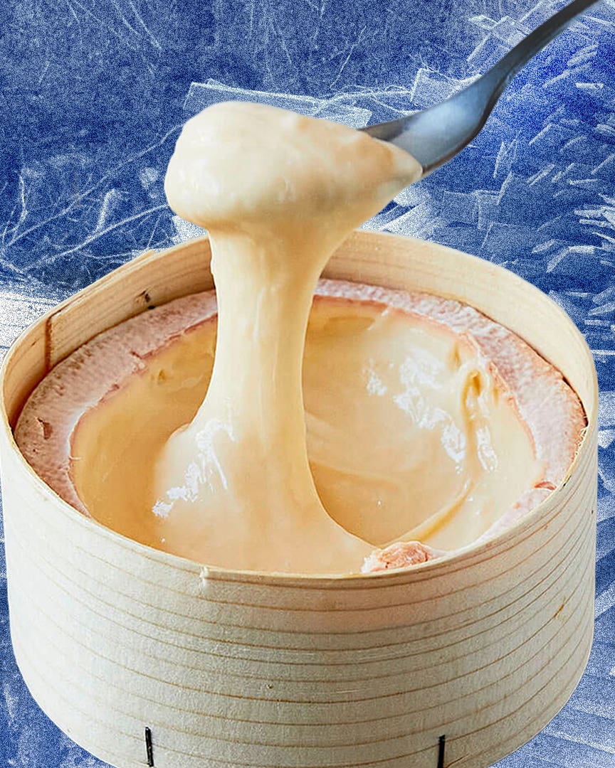 Gooey Cheese